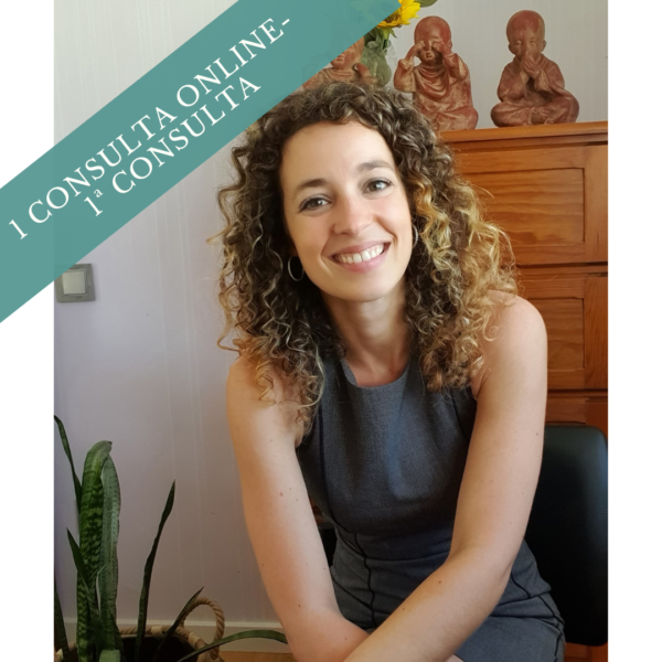 1ª Consulta de Nutrição ONLINE- Ana Luísa Mousinho
